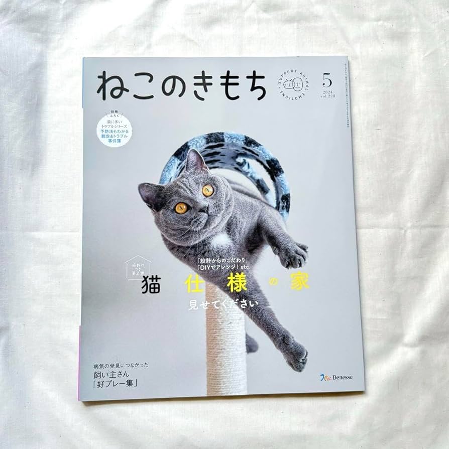 ねこのきもち 62冊 保護ねこのきもち (ベネッセ・ムック ねこのきもちブックス